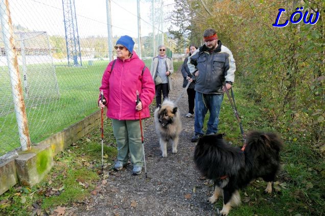 2.11.2023 - Murinselweg